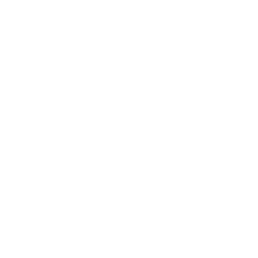 CSS
